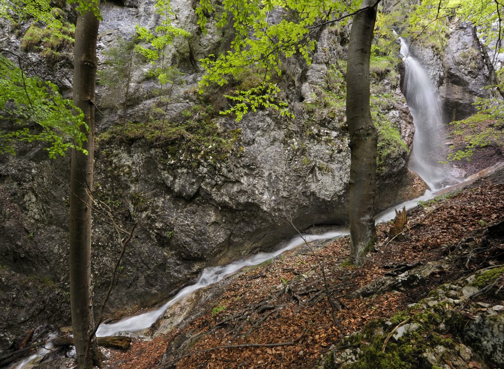 voda-vodopad-les-skaly-stromy-konare-rastlina
